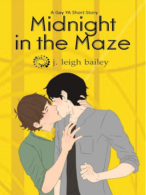 Title details for Midnight in the Maze by J. Leigh Bailey - Available